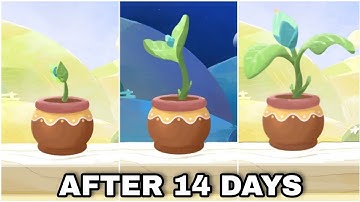 Fruit Of Alice Mysterious Seed In My Neighbor Alice After 14 Days