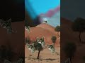 котики