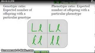 Genetics Homework 1: Spring 2014