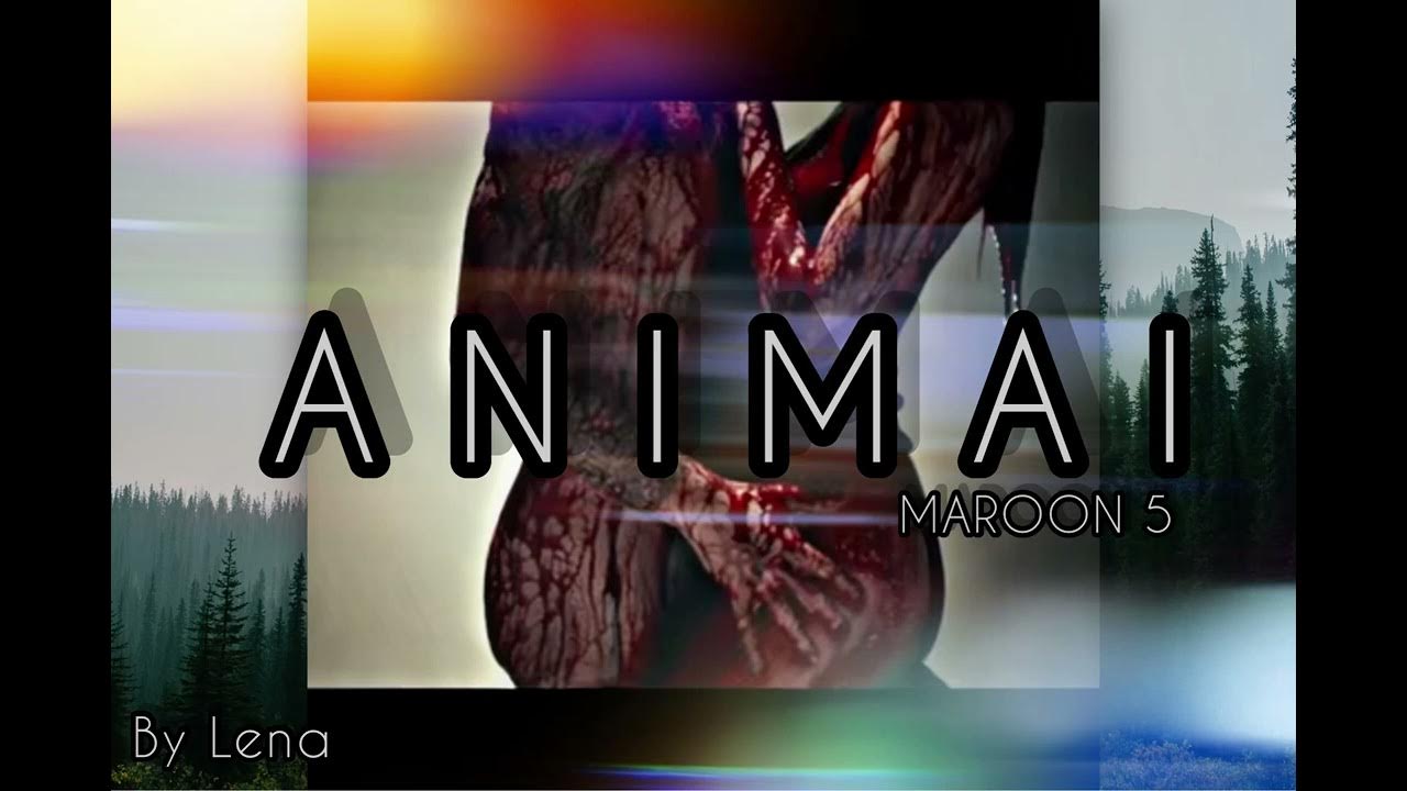 Animal - Maroon 5 - YouTube