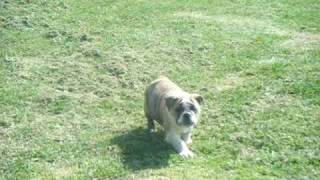 DSCF6176.AVI