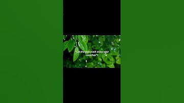 “Let the Rain Wash Away Your Worries 🌿 | Short Moment of Calm” #momentsoflight #mindfulness