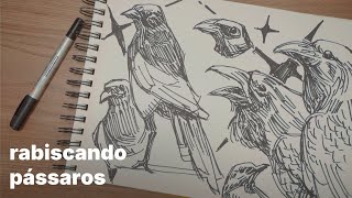 Rabiscando Pássaros No Tradicional