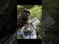 Readers agree?๐ #read #readers #novels #books #edit #video #viral #trending #youtubeshorts #fyp #yt