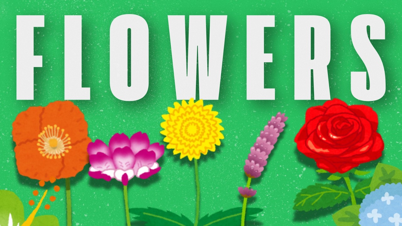 Learn English Speaking: Colors & Flowers | 7 Colors | Comprehensible Input English
