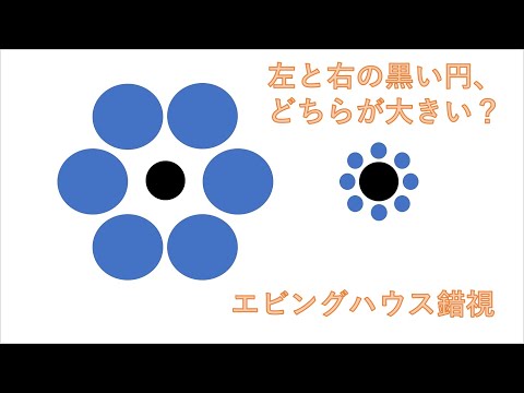 エビングハウス錯視、Ebbinghaus illusion