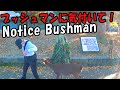 Bushman Prank 43: A deer bit an old man. ブッシュマン・ドッキリ 43: 奈良公園の鹿は老人を咬む