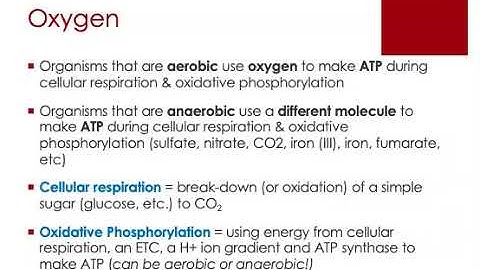 BIOL205R Microbial Metabolism Part 2 #1of4