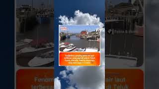 Download Lagu Fenomena Pasang Surut Air Laut Terbesar Yang Pernah Ada Di Teluk MP3