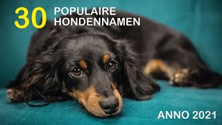 30 populaire hondennamen (anno 2021)