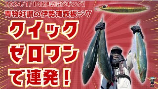 伊勢湾 ジギング 2024/1/14 青物好調な伊勢湾でクイックゼロワン連発