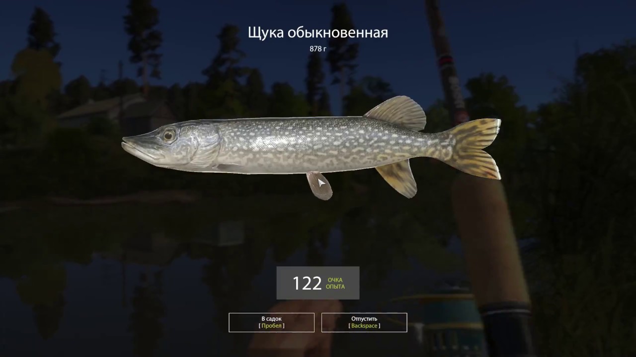 Русская рыбалка 4 версии