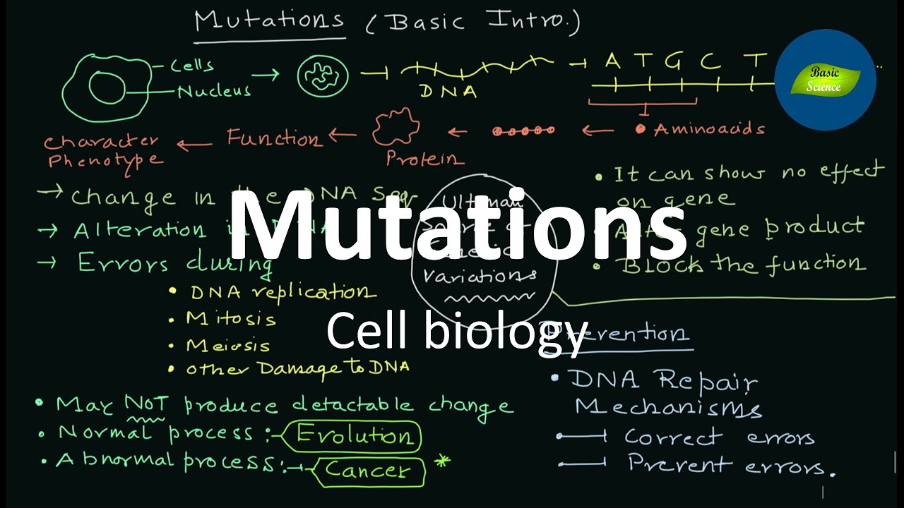 Mutations | Introduction | Gene Mutations | Cell Biology | Basic ...