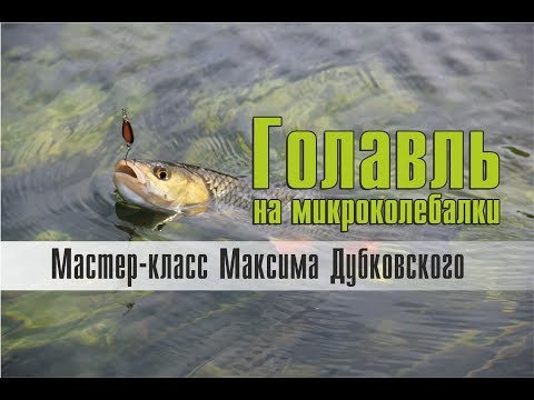 Ловля голавля на микроколебалки. Мастер-класс Максима Дубковского
