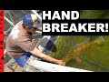 STOCKING POND with BIG PET FISH the Predator known as "THE HAND-BREAKER"