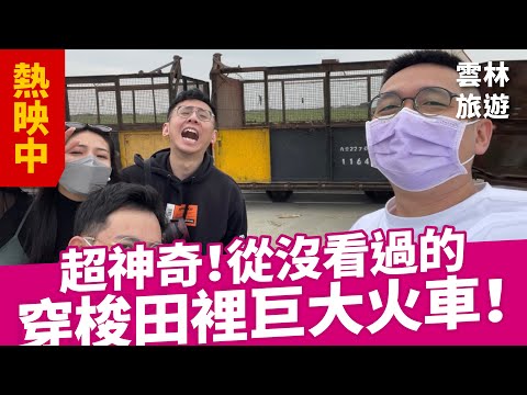 【雲林住宿美食全攻略-下集】必吃早餐、超可愛牛牧場開箱｜雲林旅遊｜雲林住宿｜北港美食｜玩樂系列