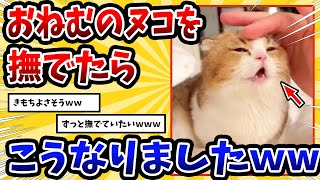 【2ch動物スレ】眠たくなっちゃった子猫を撫でたら反応が可愛すぎた→その結果w