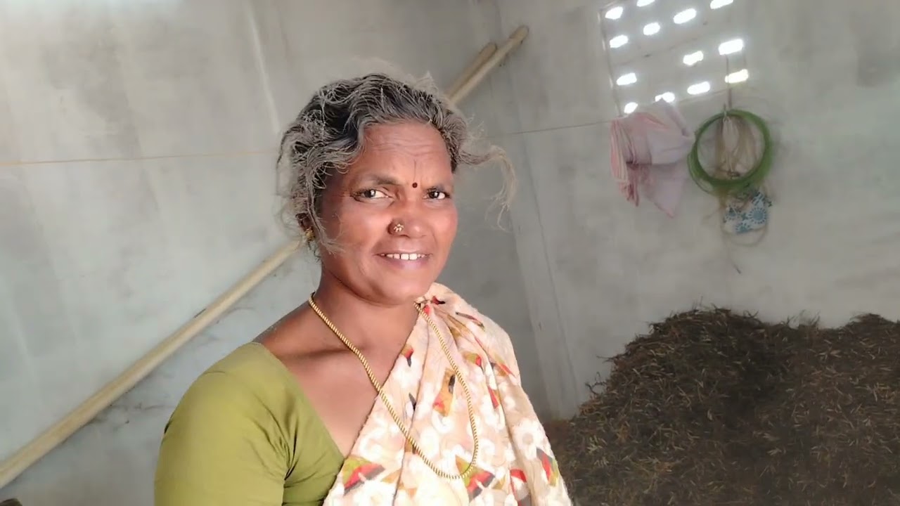 காசே இல்லாமல் நமக்கு கிடைத்த உளுந்து