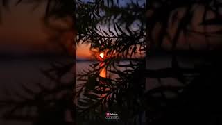 Love Song Whatsapp Status Videos