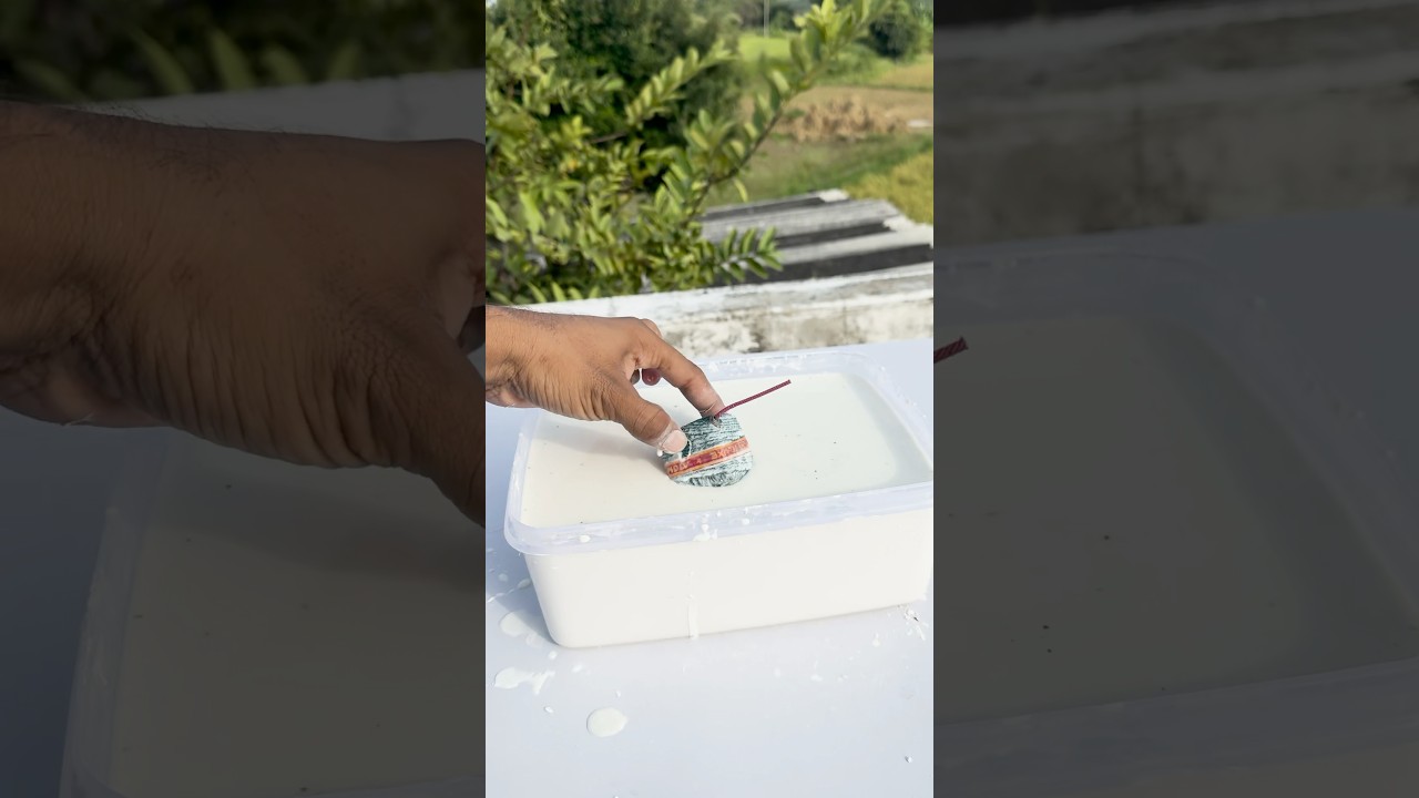 Oobleck Vs Sutli Bomb 