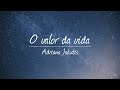 O Valor Da Vida Adriana Jakutis O Valor Da Vida Adriana Jakutis