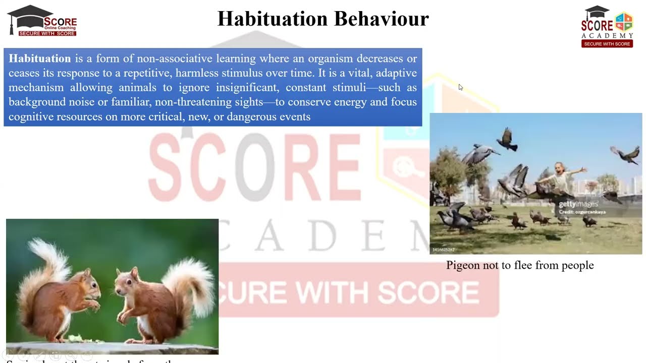 Learning, Habituation, Imprinting, Insight,  Latent, Operant Behavior