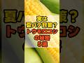 実は夏バテに効果的！？トウモロコシの秘密5選🌽 #健康 #雑学