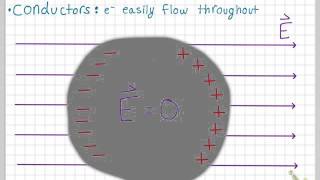 Conductors in Electric Fields