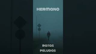 Ratas Peludas - Hermano Video