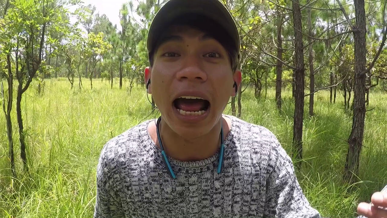 lion heart cover - Punleur