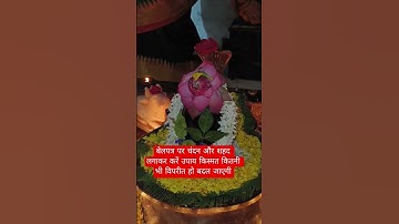 🌿🥀बेलपत्र पर चंदन और शहद लगाकर भगवान शंकर को चढ़ाने का उपाय#🌿🤔#किस्मत कितनी भी विपरीत हो बदल जाएगी🌺