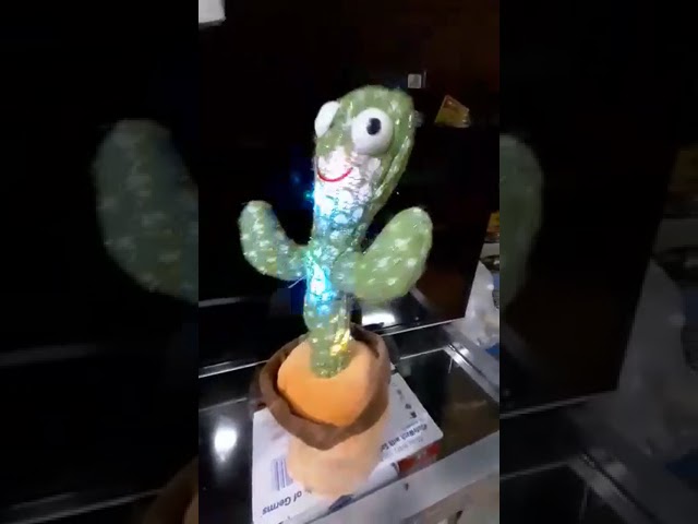 dancing cactus class=