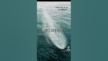 القارئ إسلام صبحي وذا النون إذ ذهب مغاضبا # تلاوة راقية