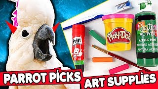 MY PARROT PICKS ART CRAFT SUPPLIES Challenge #3