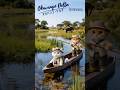 Okavango Delta｜Botswana（オカバンゴ・デルタ｜ボツワナ）