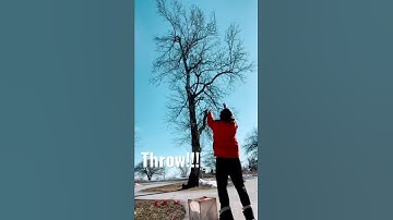 How to pull hanging branch out of tree