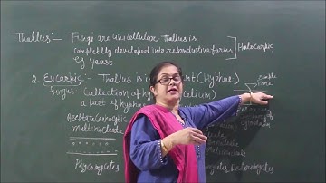 BIO-XI-02-10,Fungas Thallus and asexua reproduction general account,Pradeep Kshetrapal channel