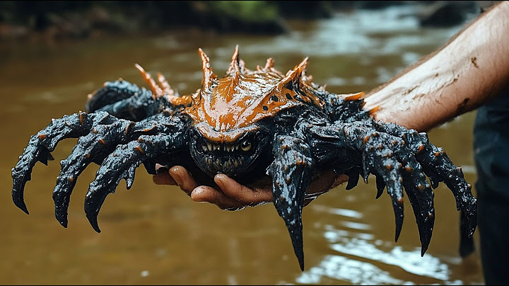 Scientists Discover SOMETHING in the AMAZON Waters! Unexpected Creatures Living in the Amazon!
