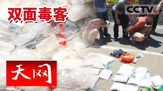 《天网》31.7公斤咖啡因 种地农民竟是制毒师 一家吸毒客最爱的药店究竟隐藏着什么秘密？  20230531 | CCTV社会与法