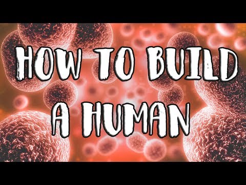 How to Build a Human