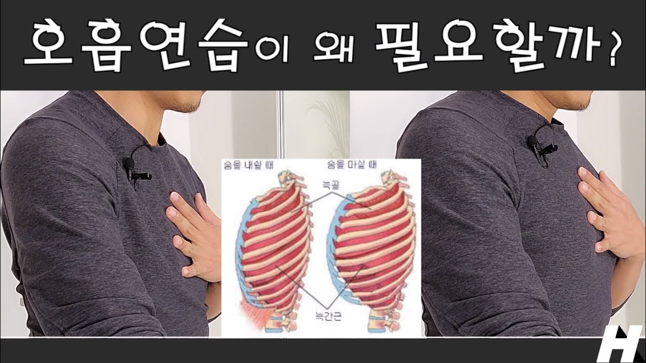 굳이?왜?숨쉬는 연습을 해야할까?깊은 호흡연습의 이유와 방법! [우자이호흡] [yoga]
