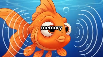 Goldfish Memory Myth Busted