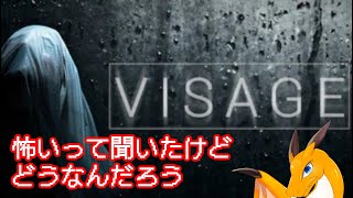 ※ホラゲ注意【Visage】 #2