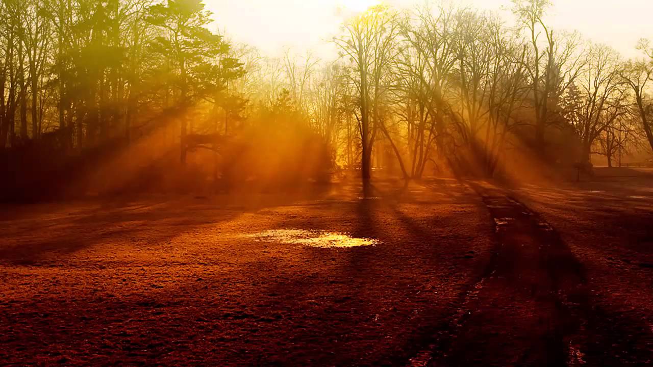 Oceanlab Lonely Girl (Gareth Emery Remix) YouTube