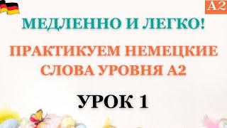 Урок 1 | A2 | Медленно и легко! Практикуем слова A2!