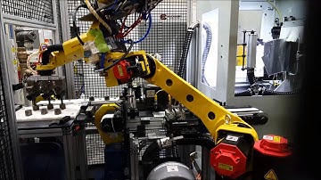 Double Disc Grinding Machine with Fanuc Robot