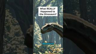 Where the Dinosaurs REALLY Went