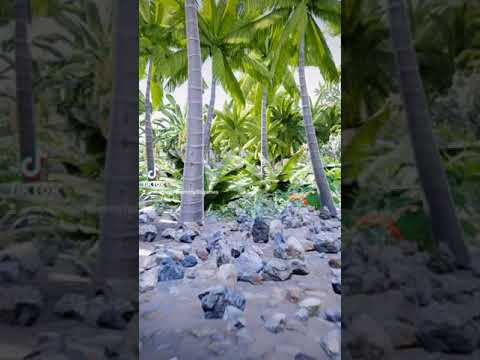 Procedural generation of