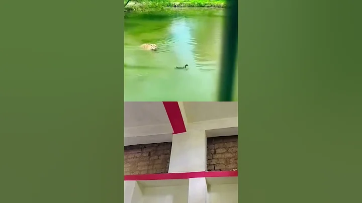 ji #whowillbemylifepartnerta #lifeisbutadream #comedy #automobile #memes #funny #hiphop #rap #music