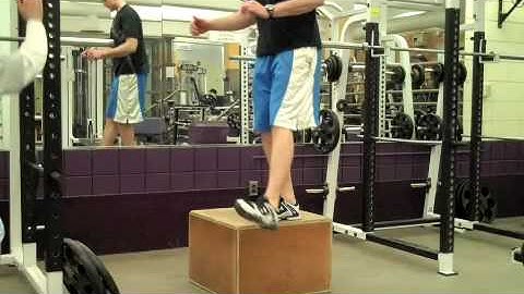 Self Made Exercise Index:  SL Drop Box Squats